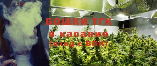 молекула духа Армянск