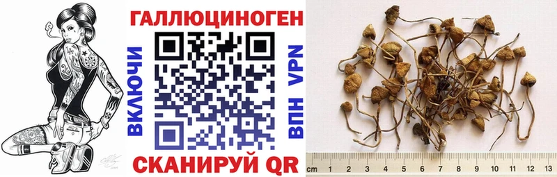 Псилоцибиновые грибы мухоморы  Чехов 
